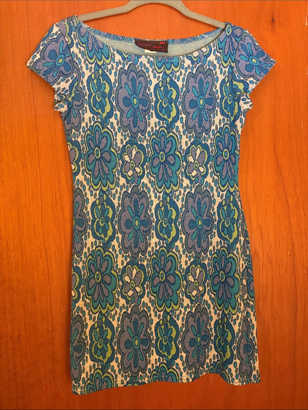 Vintage Blue Flower Print Mini Dress